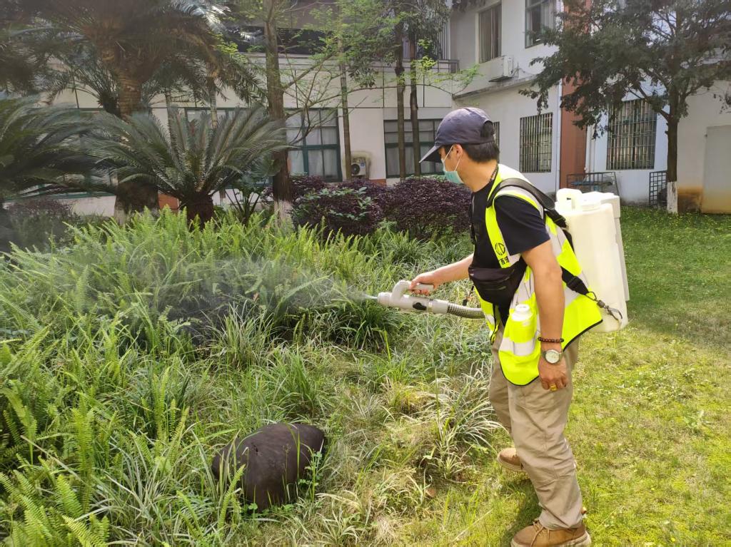 物业管理科开展校园集中消杀，扎实筑牢蚊媒...